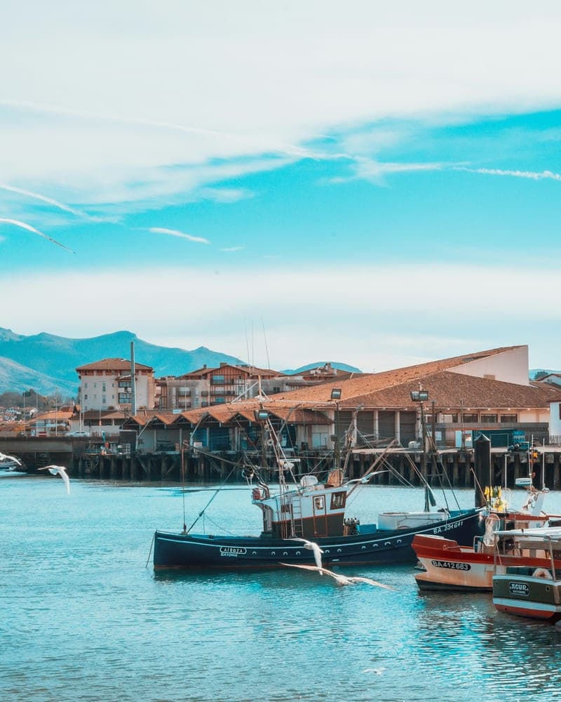Bateaux de pêche amarrés dans un port du Pays Basque